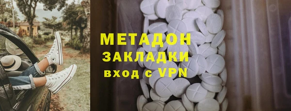 шишки Абаза
