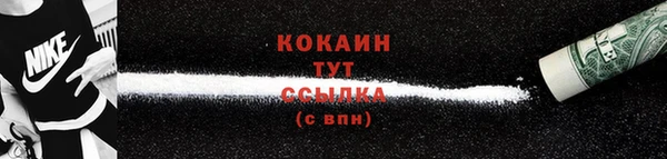 шишки Абаза