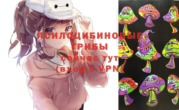 шишки Абаза