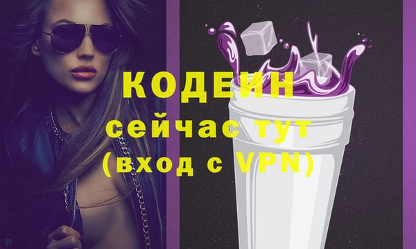 шишки Абаза