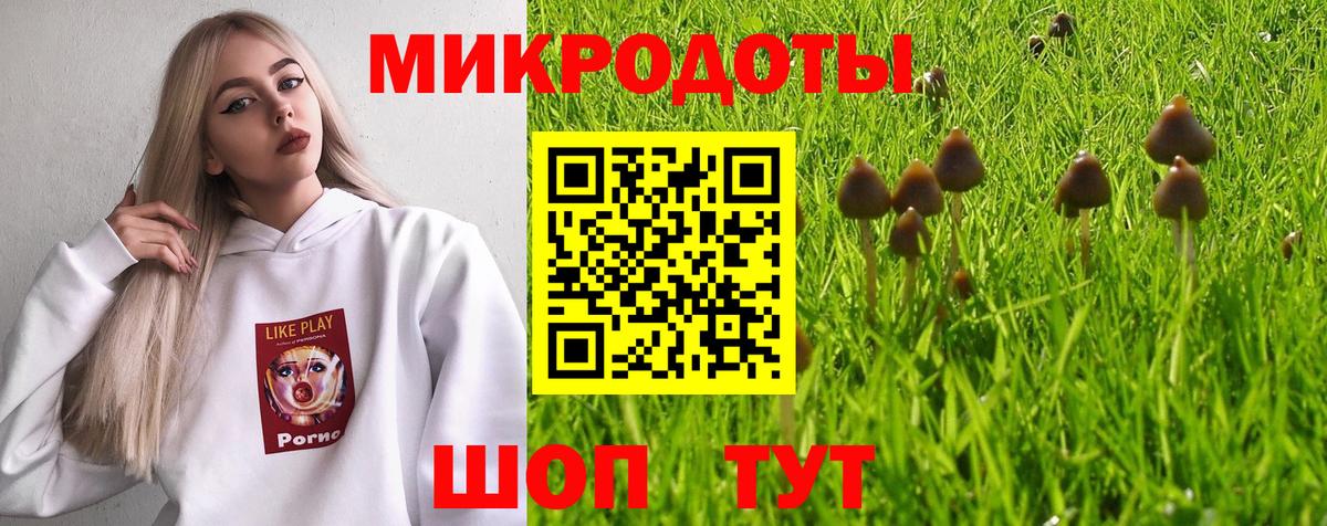 Псилоцибиновые грибы Psilocybine cubensis Абакан