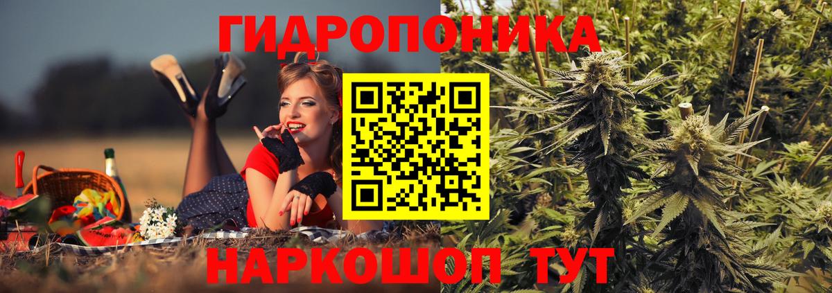 МАРИХУАНА гибрид Абакан